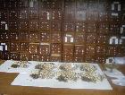Quality Herbal Medicine, Chinese, Herbs, Ailments