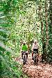 Nature, Holistic, Remedies, Allergies, Rhinitis, Hay Fever, Spring
